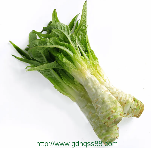 厚街蔬菜配送